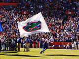University of Florida - Florida Flag
