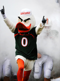University of Miami - Sebastian
