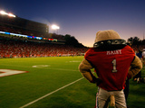 University of Georgia - Sanford Stadium - Hairy