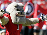 University of Georgia - Hairy