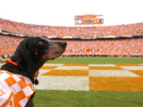 University of Tennessee - Tennessee's Smokey at Neyland Stadium