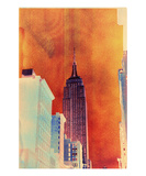 New York 7