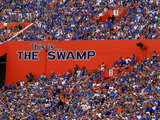 University of Florida - This Is the Swamp