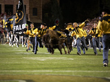 University of Colorado - Running with the Buffaloes