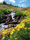 University of Colorado - Colorado Spring