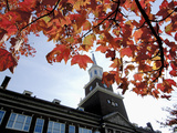 University of Cincinnati - Fall Leaves and McMicken Tower