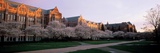 University of Washington - Quad Panorama