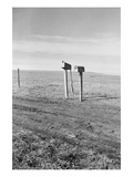 The Rolling Lands