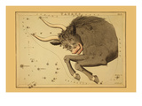 Taurus the Bull