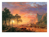 The Oregon Trail