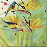 Hummingbird 2