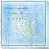 Im Possible