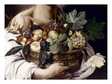 Caravaggio: Fruit