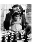 Checkmate