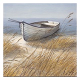 Shoreline Boat
