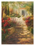 Sun Terrace