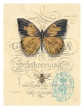 Honeybee Papillon