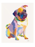 Pug Sketch