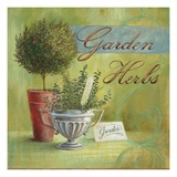 Garden Herbs