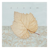 Dream