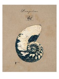 Vintage Linen Nautilus