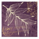 Lavender Pistache