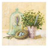 Cook's Garden