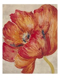 Tangerine Bloom 2