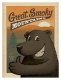 Great Smoky Mountains Bear