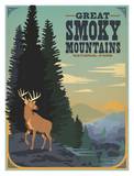 Great Smoky Mountains Deer