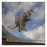 Elephant skateboarding