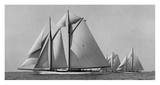Schooner Race