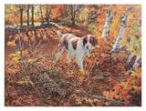Freeze Before Flight - Brittany Spaniel