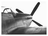 P51d Mustang