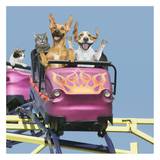 Riding on Roller Coaster