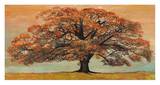 Oak