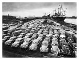 First Shipment of Beetles to America, 1956
