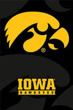 University of Iowa Hawkeyes