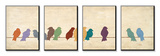 Birds Meeting