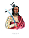 Moukaushka ('the Trembling Earth'), a Yankton Sioux Chief