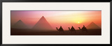 The Great Pyramids of Giza, Egypt