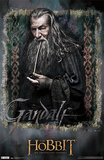 The Hobbit: An Unexpected Journey - Gandalf