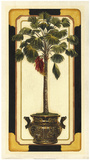 Peaceful Palm II