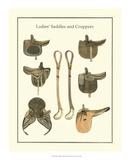 Ladies Saddles