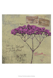 Postage IV