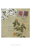 Postage II