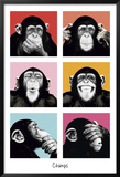 The Chimp-Pop,