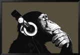 The Chimp-Stereo