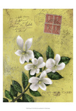 Postage VI
