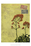 Postage VII